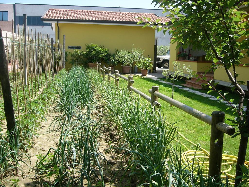 Nonna Alda Panzió Viareggio Szoba fotó