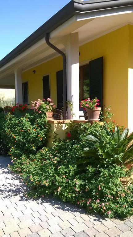 Nonna Alda Panzió Viareggio Kültér fotó