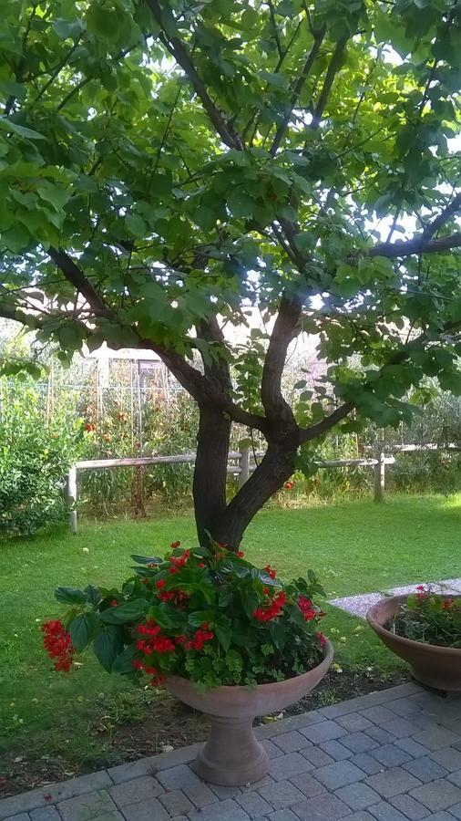 Nonna Alda Panzió Viareggio Szoba fotó